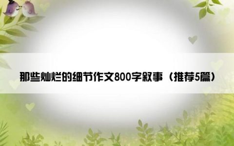 那些灿烂的细节作文800字叙事（推荐5篇）