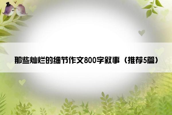 那些灿烂的细节作文800字叙事（推荐5篇）