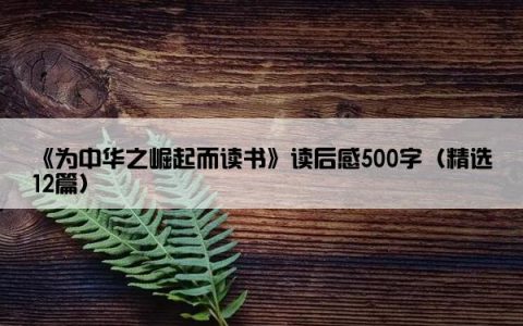 《为中华之崛起而读书》读后感500字（精选12篇）