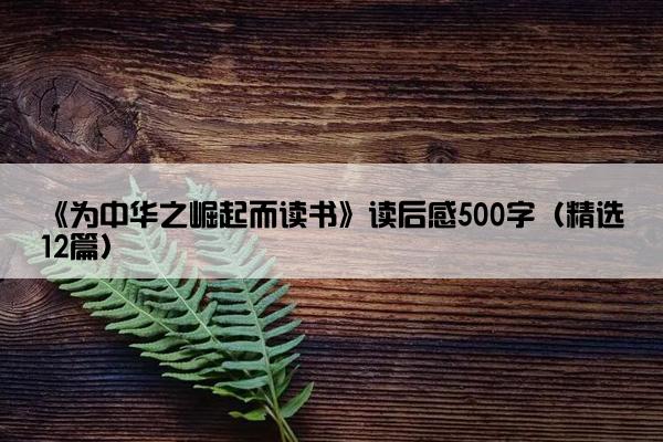 《为中华之崛起而读书》读后感500字（精选12篇）