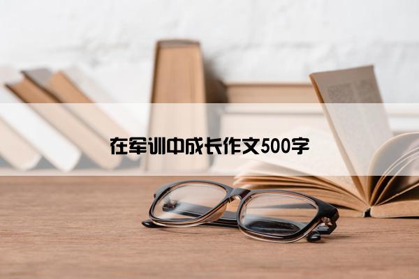 在军训中成长作文500字