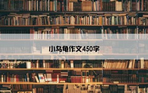 小乌龟作文450字