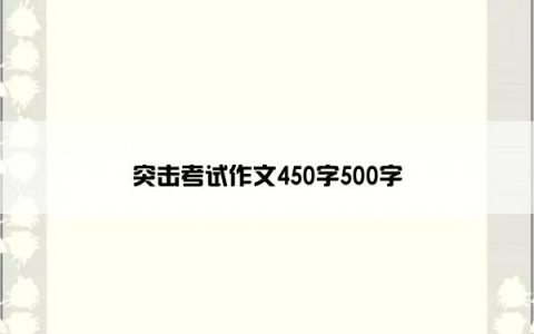 突击考试作文450字500字