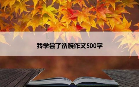 我学会了洗碗作文500字