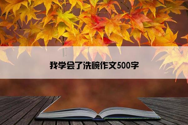 我学会了洗碗作文500字