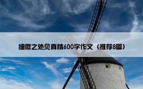 细微之处见真情600字作文（推荐8篇）