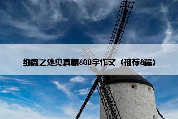 细微之处见真情600字作文（推荐8篇）