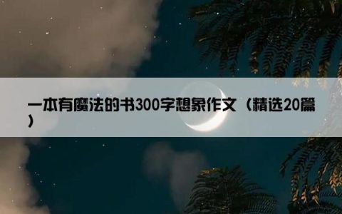 一本有魔法的书300字想象作文（精选20篇）
