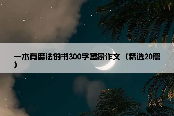 一本有魔法的书300字想象作文（精选20篇）