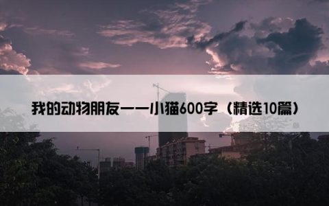 我的动物朋友一一小猫600字（精选10篇）