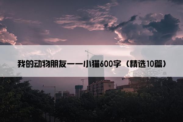 我的动物朋友一一小猫600字（精选10篇）