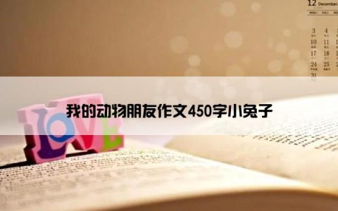 我的动物朋友作文450字小兔子