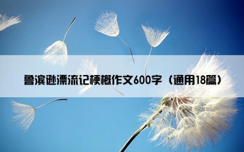 鲁滨逊漂流记梗概作文600字（通用18篇）