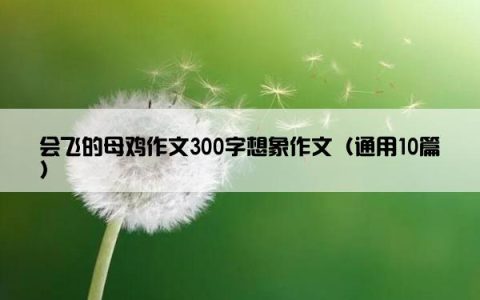 会飞的母鸡作文300字想象作文（通用10篇）