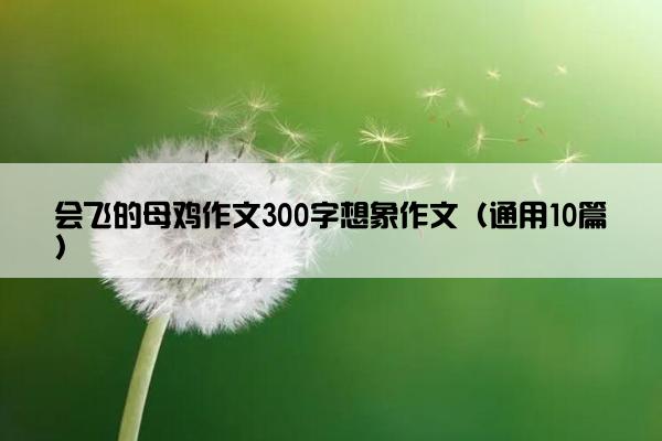 会飞的母鸡作文300字想象作文（通用10篇）