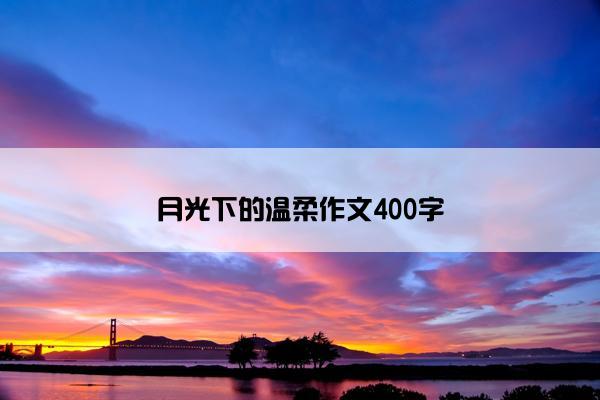 月光下的温柔作文400字