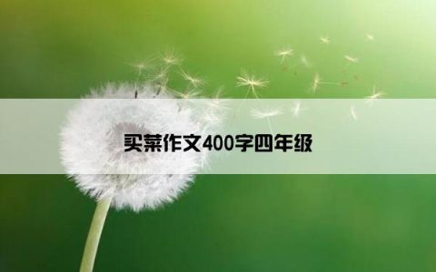 买菜作文400字四年级