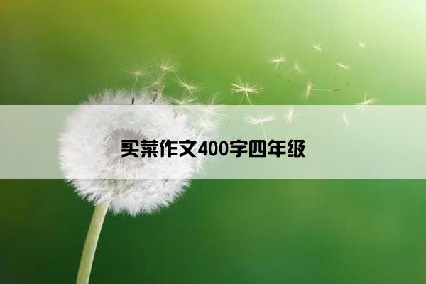 买菜作文400字四年级