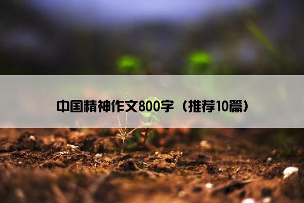 中国精神作文800字（推荐10篇）