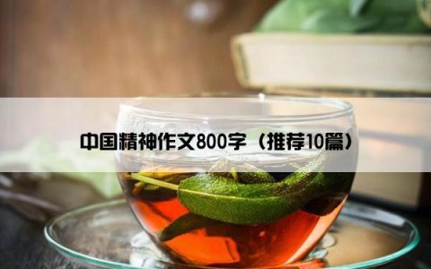 中国精神作文800字（推荐10篇）