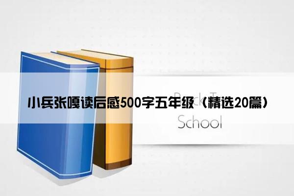 小兵张嘎读后感500字五年级（精选20篇）