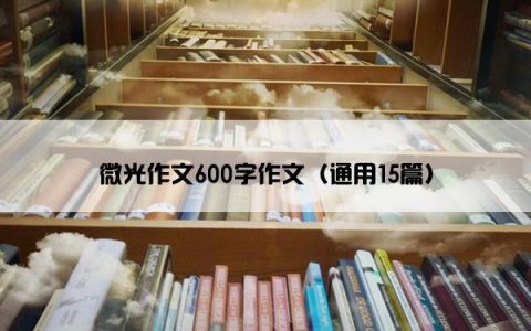 微光作文600字作文（通用15篇）