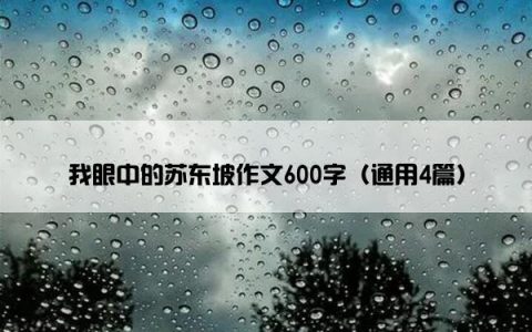 我眼中的苏东坡作文600字（通用4篇）