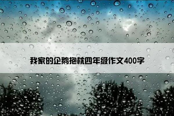 我家的企鹅抱枕四年级作文400字