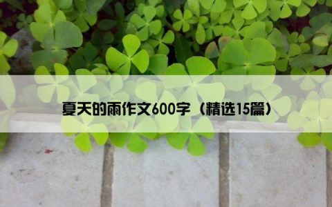 夏天的雨作文600字（精选15篇）