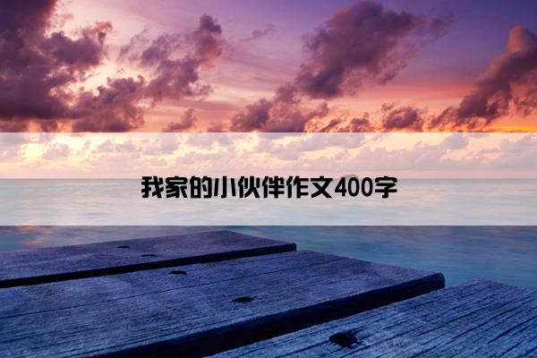 我家的小伙伴作文400字