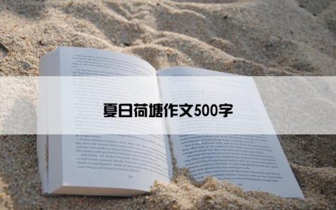 夏日荷塘作文500字