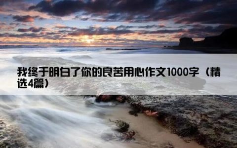 我终于明白了你的良苦用心作文1000字（精选4篇）