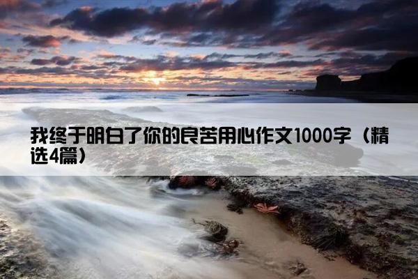 我终于明白了你的良苦用心作文1000字（精选4篇）