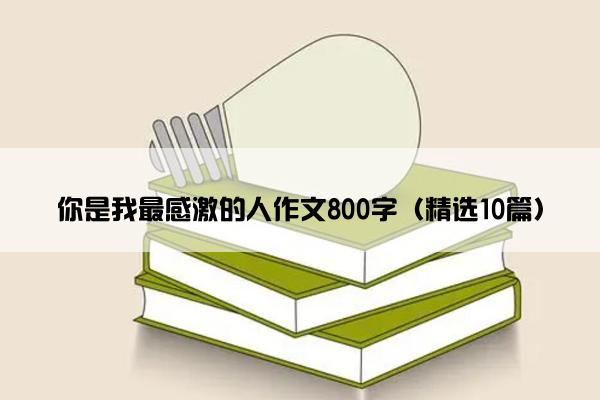 你是我最感激的人作文800字（精选10篇）