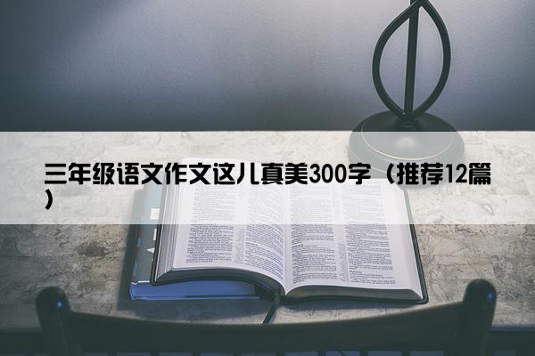 三年级语文作文这儿真美300字（推荐12篇）