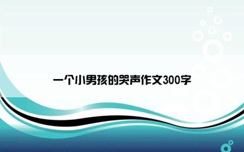 一个小男孩的哭声作文300字