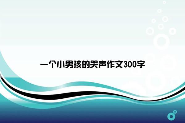 一个小男孩的哭声作文300字