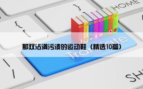 那双沾满污渍的运动鞋（精选10篇）