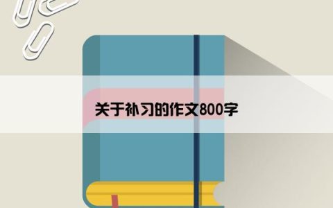 关于补习的作文800字