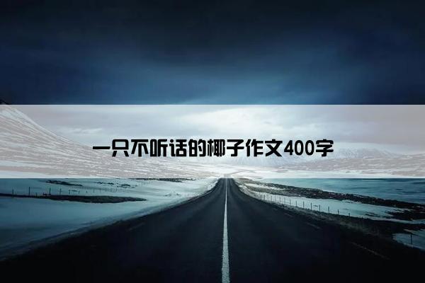 一只不听话的椰子作文400字