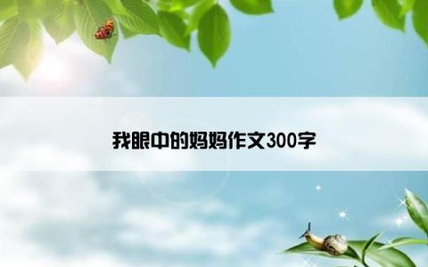 我眼中的妈妈作文300字