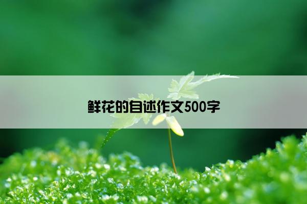 鲜花的自述作文500字