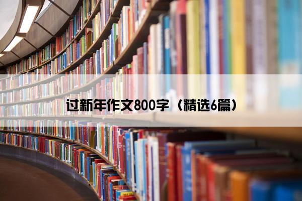 过新年作文800字（精选6篇）