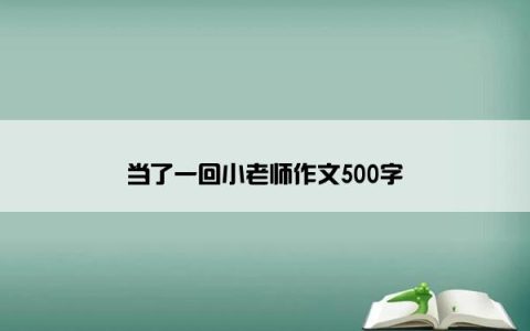 当了一回小老师作文500字