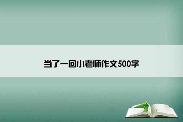 当了一回小老师作文500字