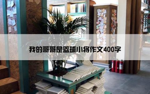 我的哥哥是篮球小将作文400字
