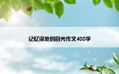 记忆深处的目光作文400字