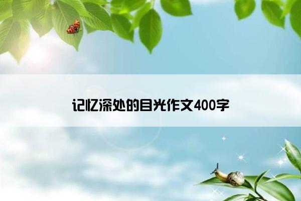 记忆深处的目光作文400字