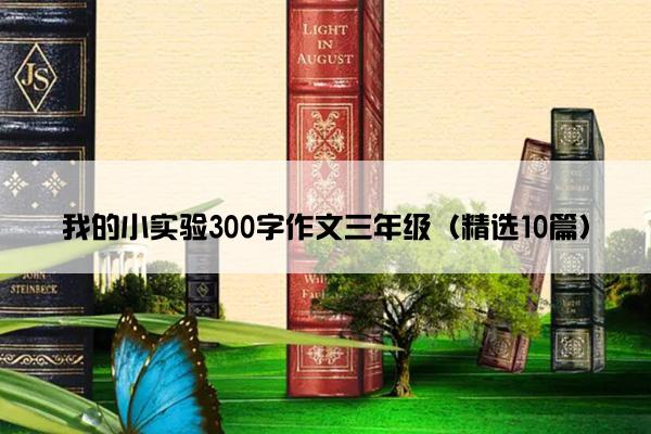 我的小实验300字作文三年级（精选10篇）