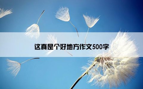 这真是个好地方作文500字